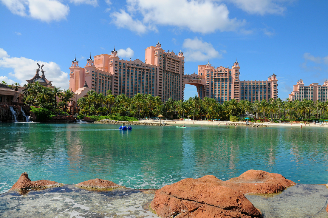Caribbean Cruise Ship with Palm Trees and Blue Ocean